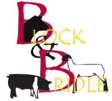 Block and Bridle Logo